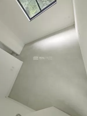 Suíte