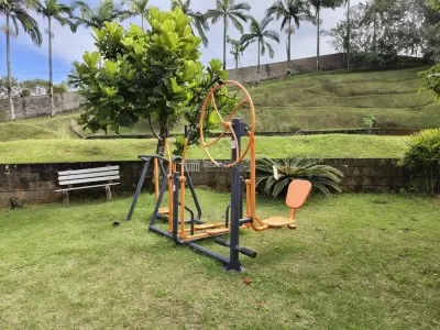 Academia externa