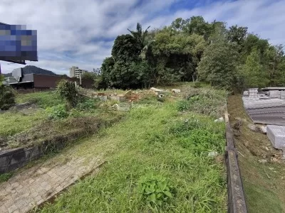 Frente do terreno, lado esquerdo para os fundos
