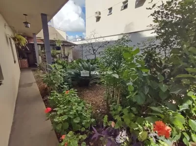quintal e jardim
