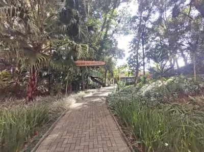 Bosque
