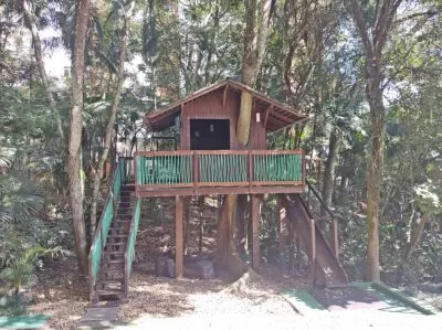 Casa na arvore no bosque
