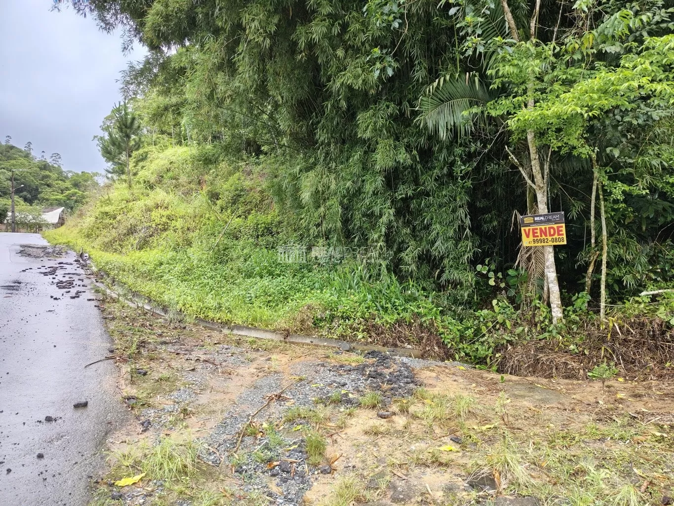 Lote/Terreno Braço da Onça - Luiz Alves, SC
